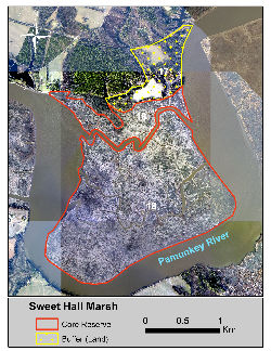 Sweet Hall Marsh reserve site