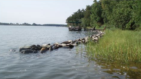 Shoreline Protection