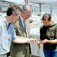 Beazley Foundation President Judge Richard Bray (C) discusses biodiversity research with Dr. Emmett Duffy (L) and Kristin France (R) on the VIMS campus in Gloucester Point.  