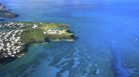 Bermuda Reef