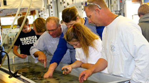 Bay Scallop Restoration