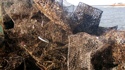 Derelict crab pots