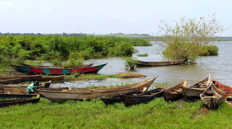 Fishing boats