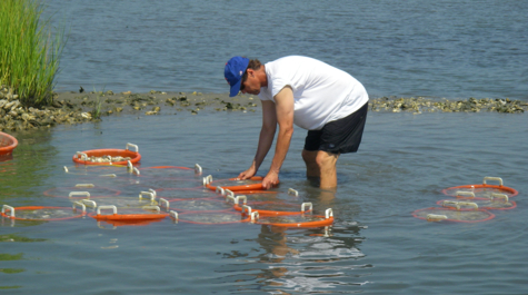 oyster_baskets.jpg