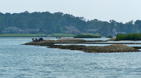 Reconstructed reefs