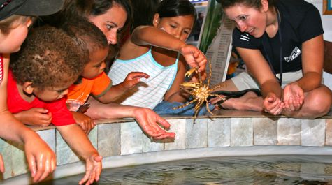 Touch Tank