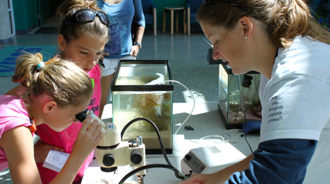 Face to Face with Seagrass Animals