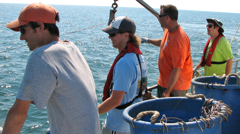 Shark Survey Crew