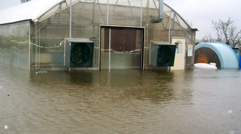 Aquaculture Facility