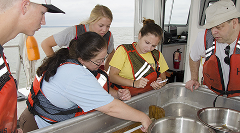 Measuring Fish