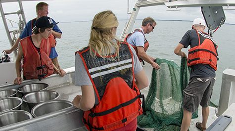 Hauling Net