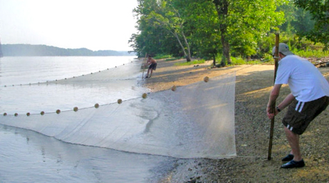 Retrieving Seine Net