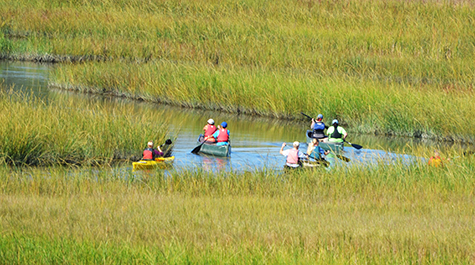 Canoe Trip