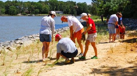 Volunteers