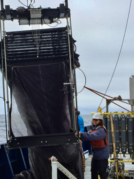 VIMS professor Deb Steinberg works with crew members aboard the RV {em}Revelle{/em} to deploy the MOCNESS plankton net. The net allows scientists to collect zooplankton from discrete depth intervals.  © Jason Graff.