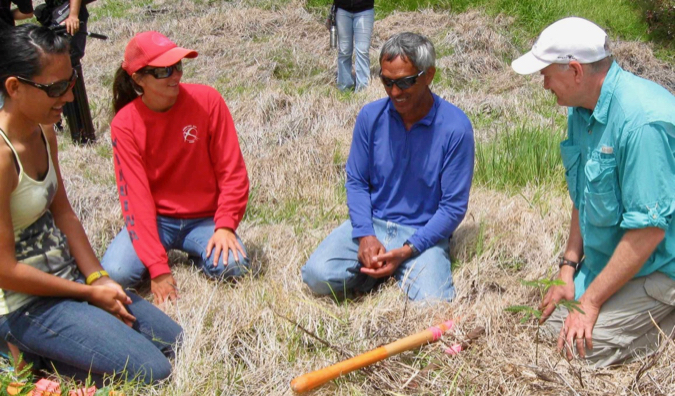 Tree Planting