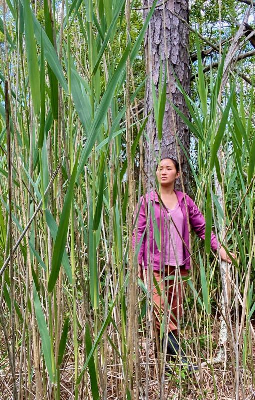 Study co-author and VIMS post-doctoral research fellow Dr. Yaping Chen stands at the border between a saltmarsh and a seaside forest. © K. Valentine/VIMS