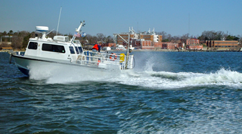 Turbulence from a boat propeller can kill copepods.