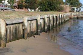 Bulkheads are one option for shoreline protection but preclude the landward migration of tidal wetlands. © D. Malmquist/VIMS.