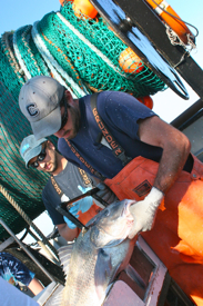 VIMS researchers Evan McOmber and Cameron Ward during a NEAMAP cruise.