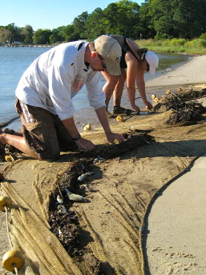 Leonard Machut (L) and Virginia Zakrzewski (R) pick through a representative catch on the shores of the Rappahannock River during the 2012 survey.