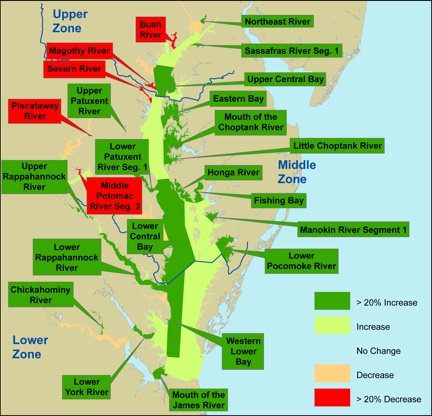 Bay grass acreage increased in all three geographic zones--upper, middle, and lower--for the second time since 2001. Of the 93 segments mapped, bay grass acreage increased in 39, decreased in 19, and remained un-vegetated in 35. Click image to download SAV background document (pdf).