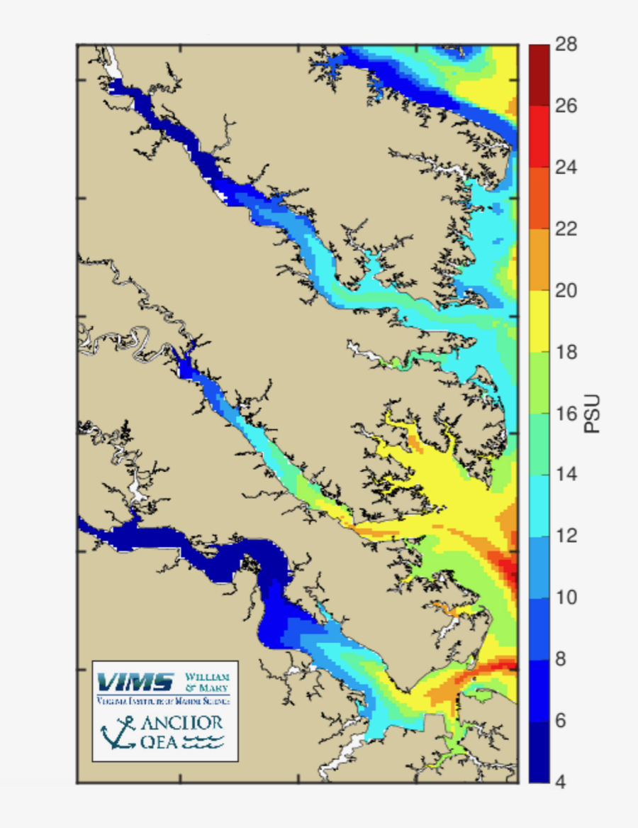 Tributary Salinity