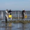 Coastal Research