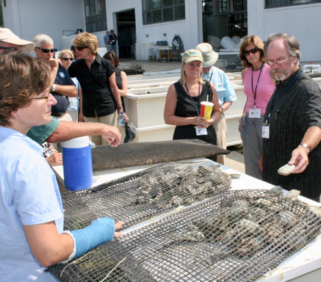 Aquaculture