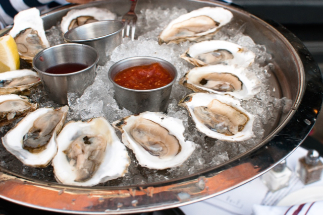 Oysters on the half shell.