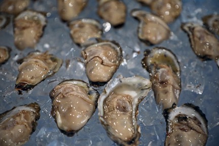 Shellfish Health & Biosecurity