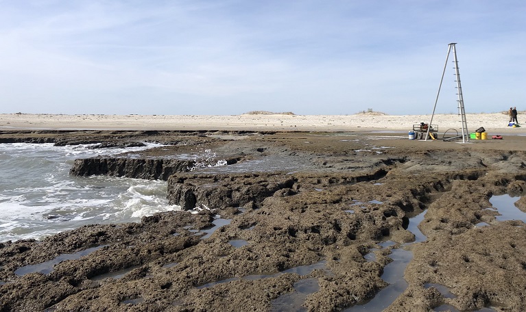 Coastal Geology Lab out vibracoring the marsh outcropping on the front side of Metompkin Island, Virginia.