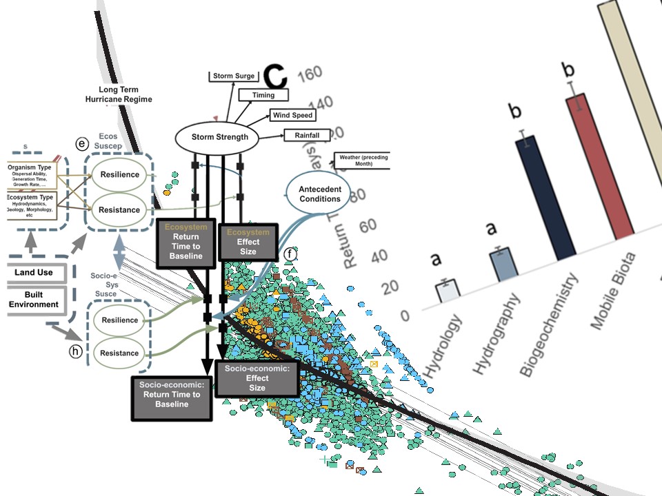 Image for HERS Data page