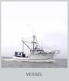 Vessel