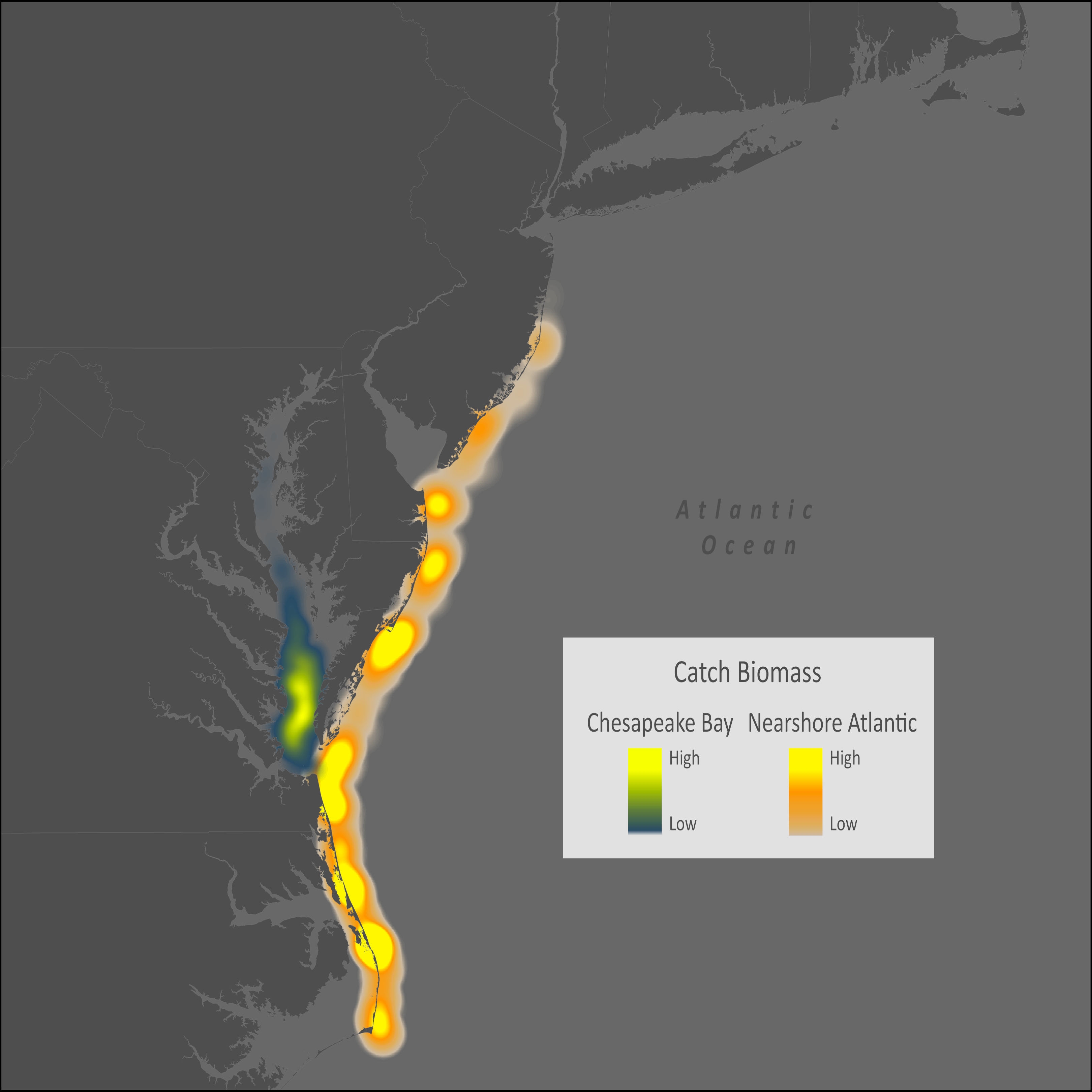 Atlantic Croaker Distribution