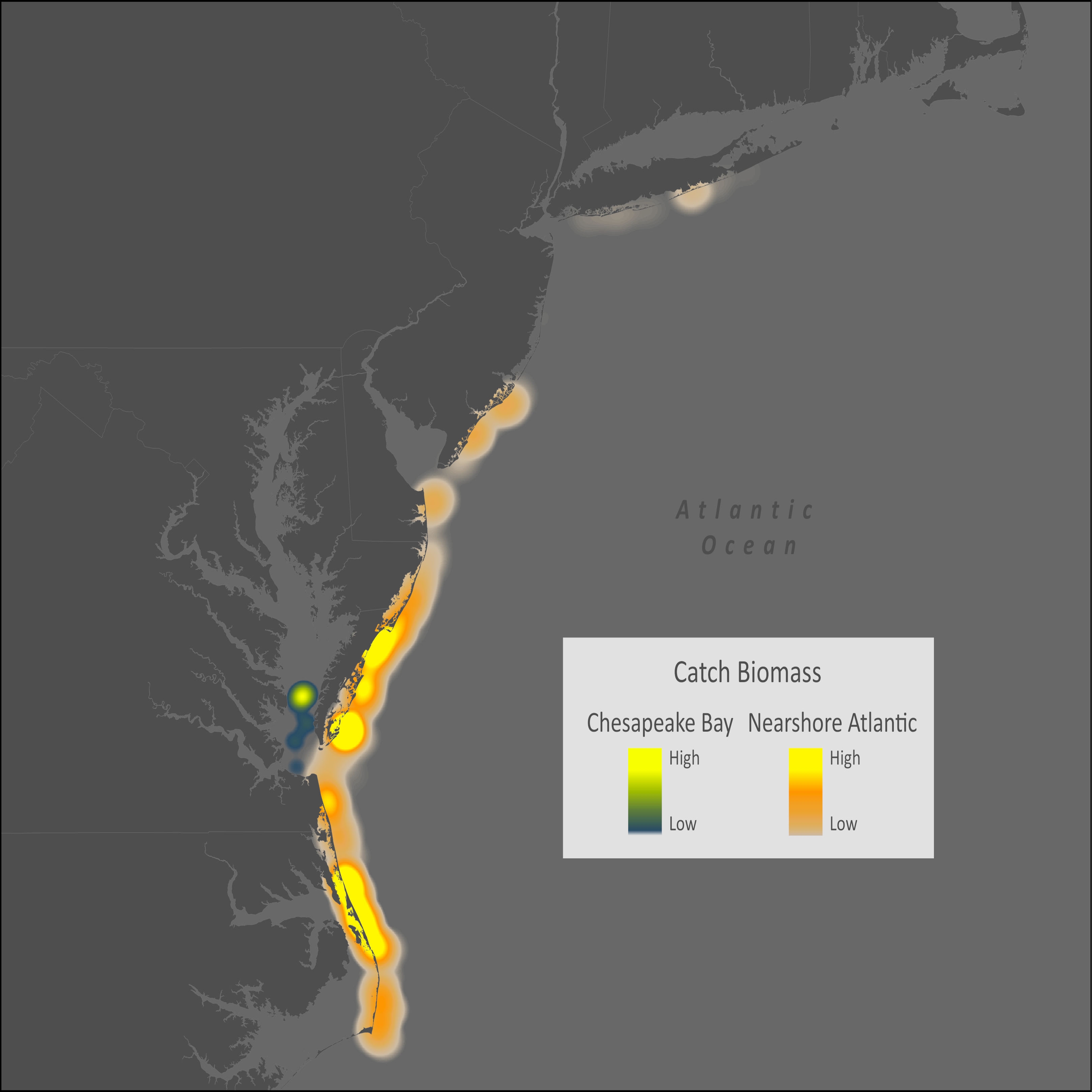 Brown Shrimp Distribution