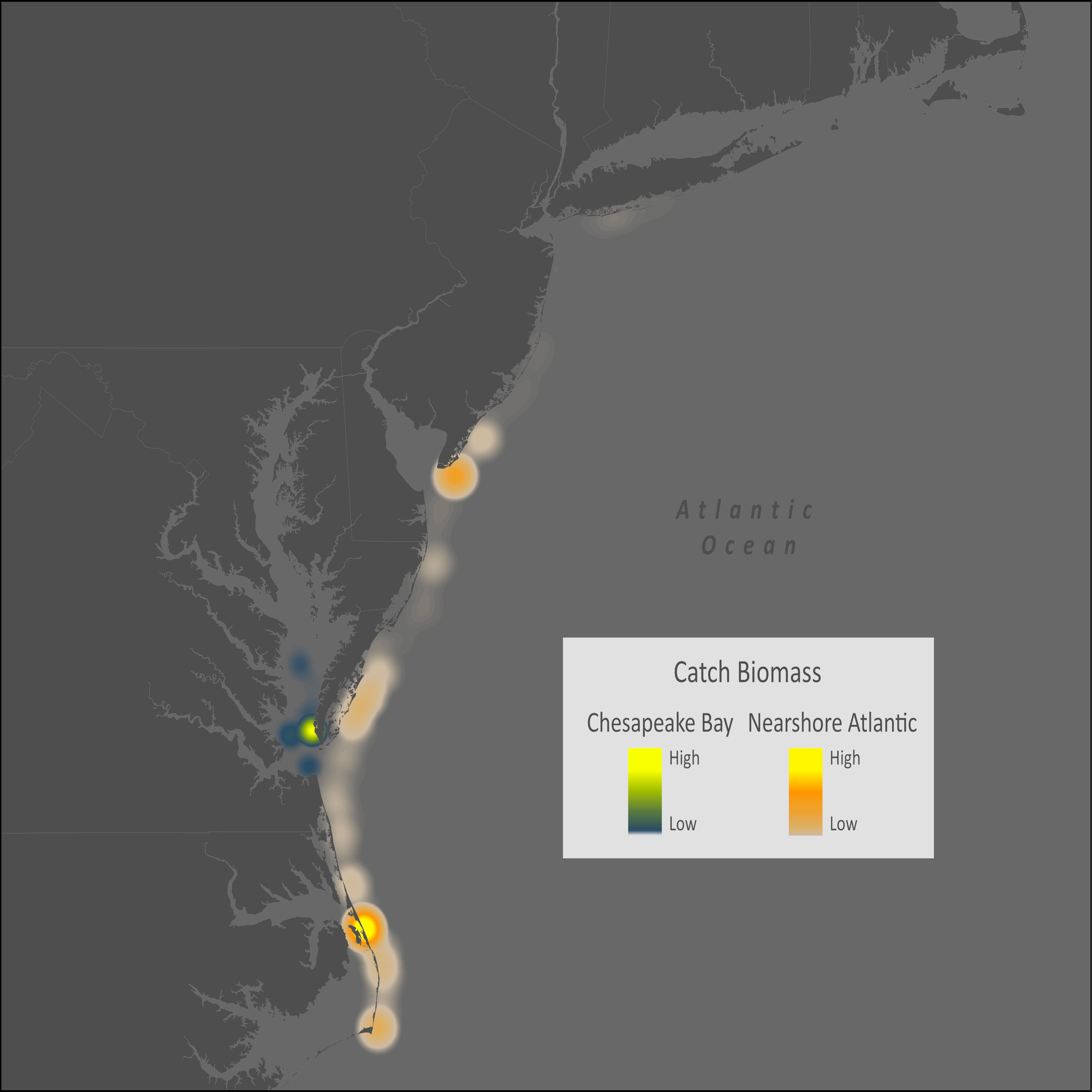 Pinfish Distribution