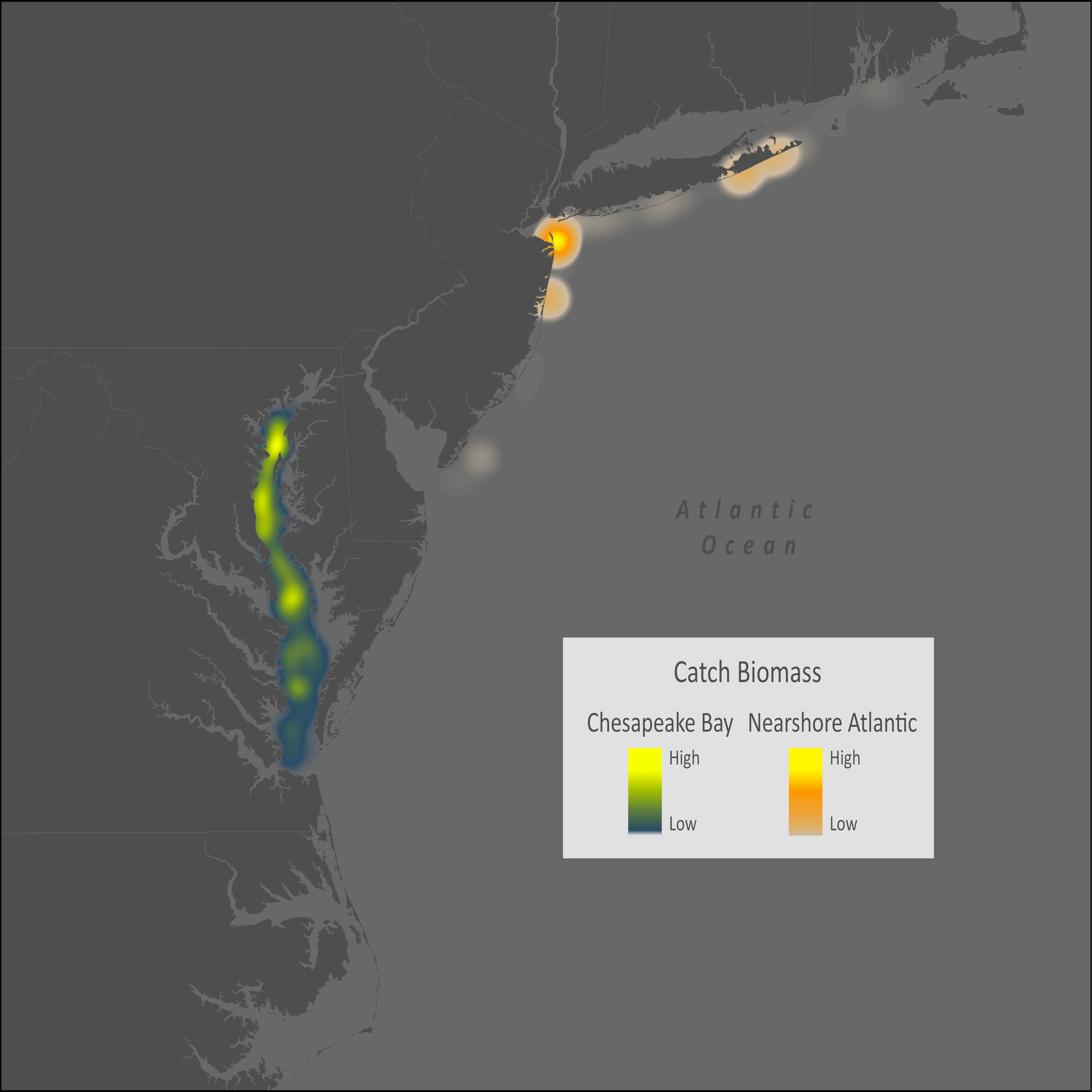 Striped Bass Distribution