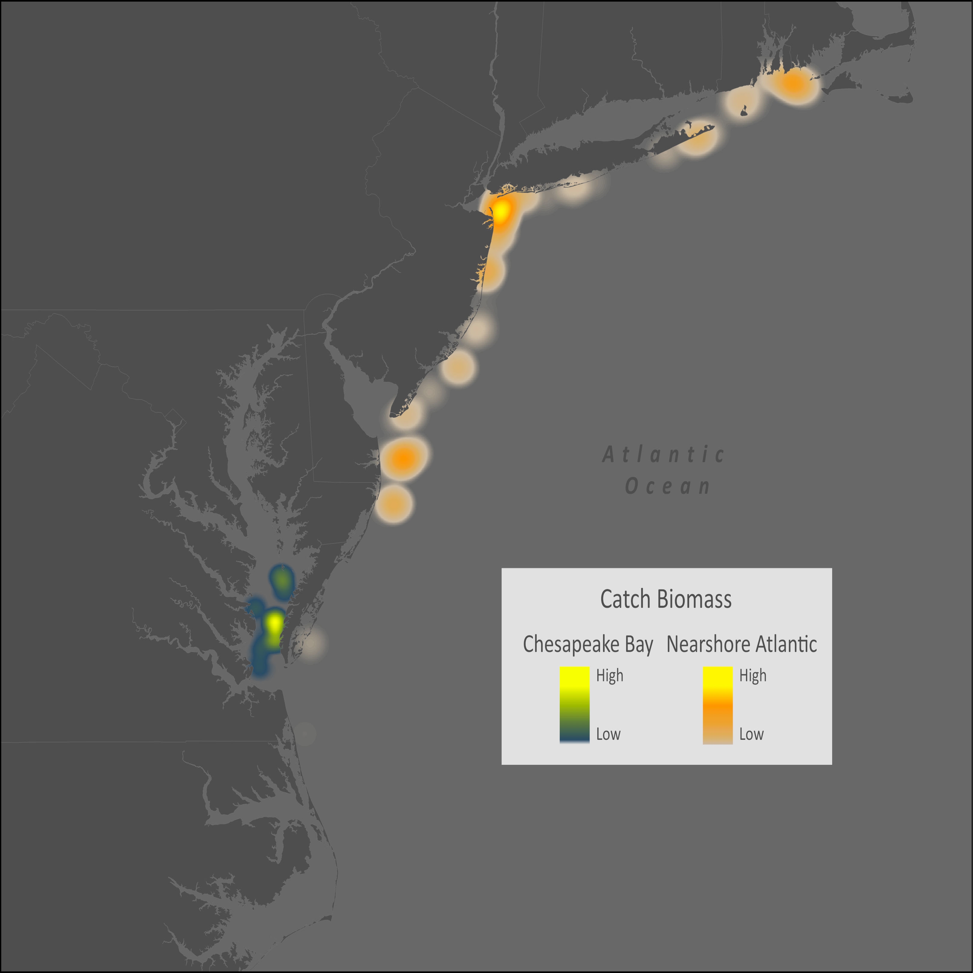 Tautog Distribution