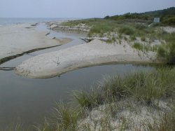 pond drain