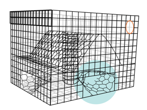 Install BRDs on the funnel openings of your crab pots. Illustrations: (c) 2009 Kelly Finan / National Aquarium.